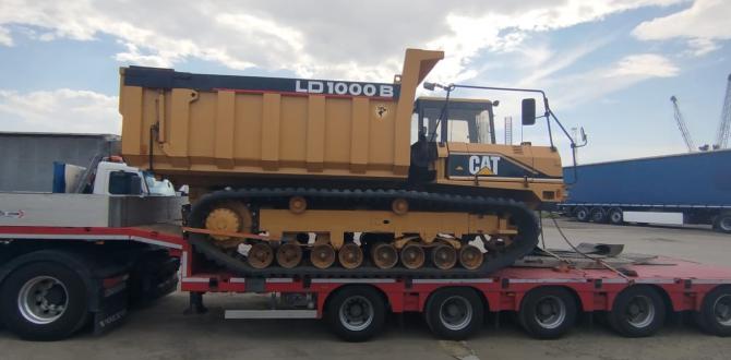 A Customised Package of Specialist Services at SCSL Romania