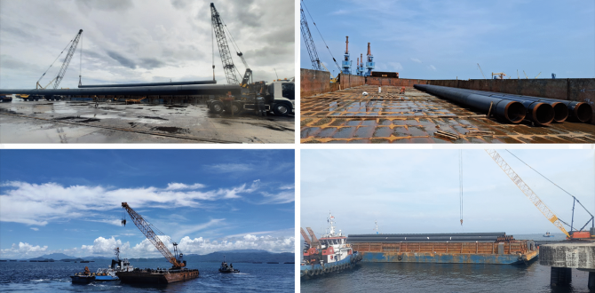 Royal Logistics Achieve Milestones in First Half of 2025