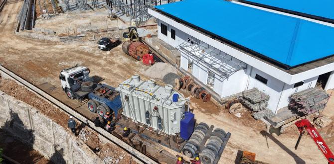 Royal Logistics Achieve Milestones in First Half of 2025