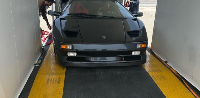 MIS with Door-to-Door Delivery of 2 Lamborghinis
