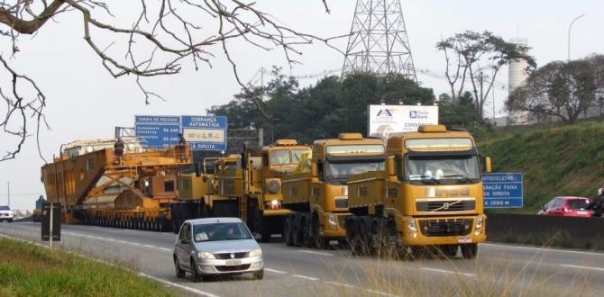 Hansa Meyer Brazil Coordinate Monumental Transformers Project