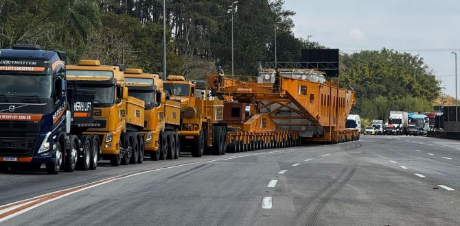 Hansa Meyer Brazil Coordinate Monumental Transformers Project