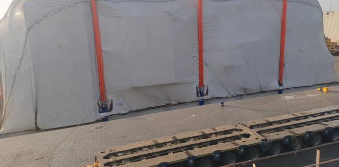 Fleet Line Shipping Services Report Project Shipments in August