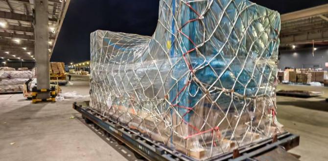 Protranser with Air Shipment of Equipment from China to France