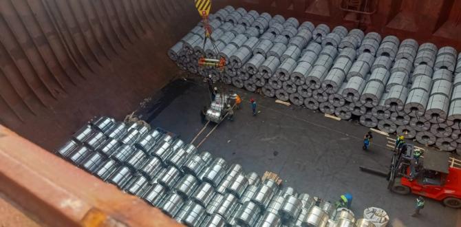 An Experienced Logistics Team at Lintas Cakrawala Logistik