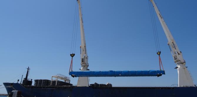 Modus Logistics Management are Here to Deliver!