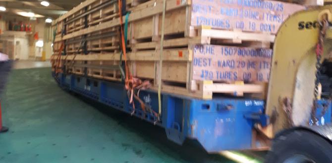 International Fresh Forwarder have the Right Logistics Solutions