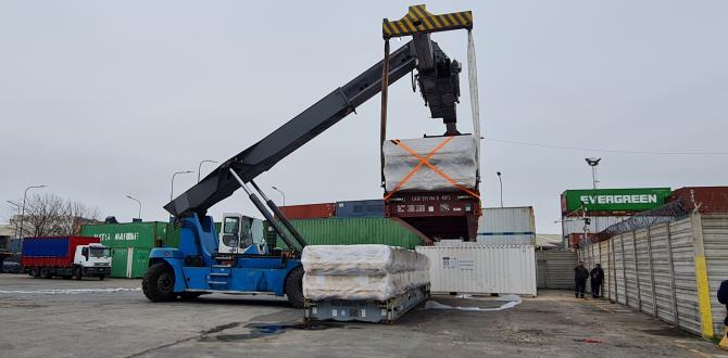 International Fresh Forwarder have the Right Logistics Solutions