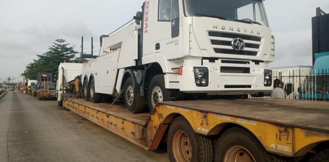 A Fast, Friendly & Dedicated Team at Rapid Rex Logistics