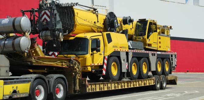 EZ Link Taiwan Handle RORO Shipment of Mobile Crane