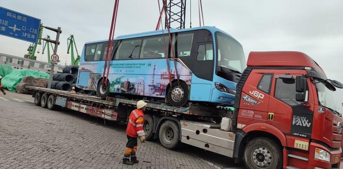 Goldenstar Group are Breakbulk & RORO Specialists