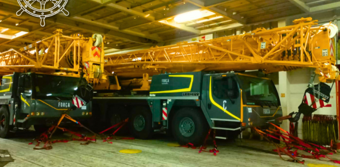 AMS Shipping Handle Every Project with Precision