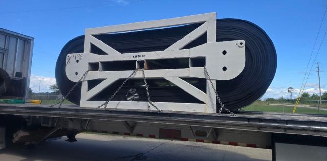 Balena Projects Coordinate Transport of 2 Conveyor Belt Units