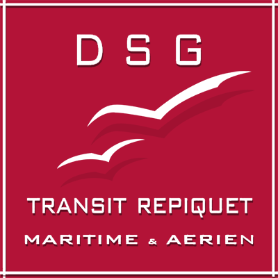 Professional Logistics Experts in Réunion - DSG Transit Repiquet